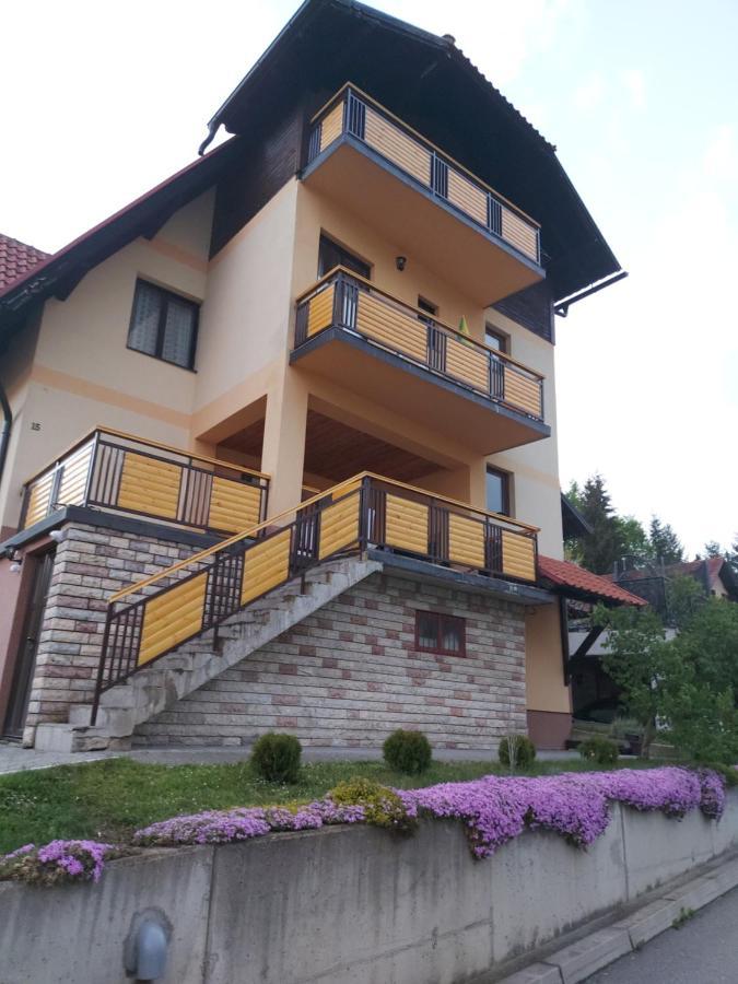 Apartments Monte Vista Zlatibor Cameră foto